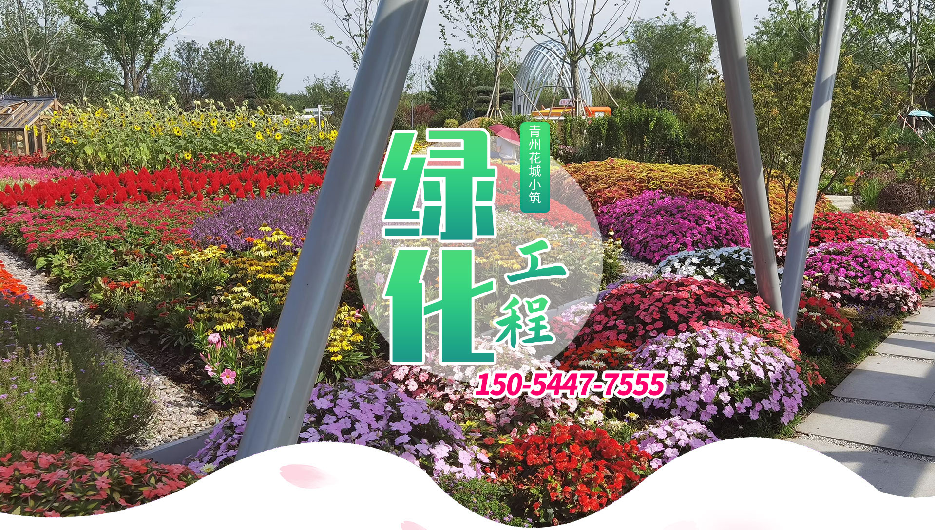 绿化苗木